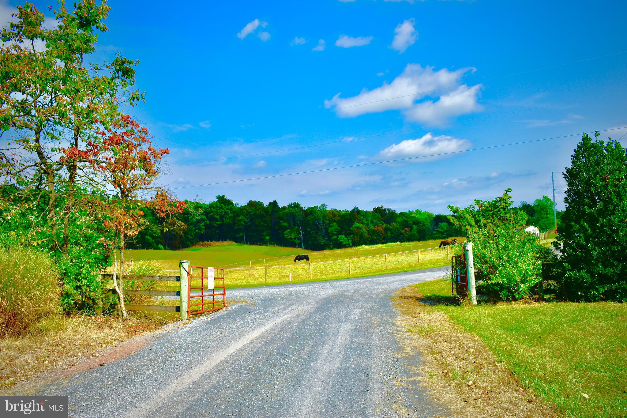 158.5 Acres Lot 3 LAUREL GROVE RD.