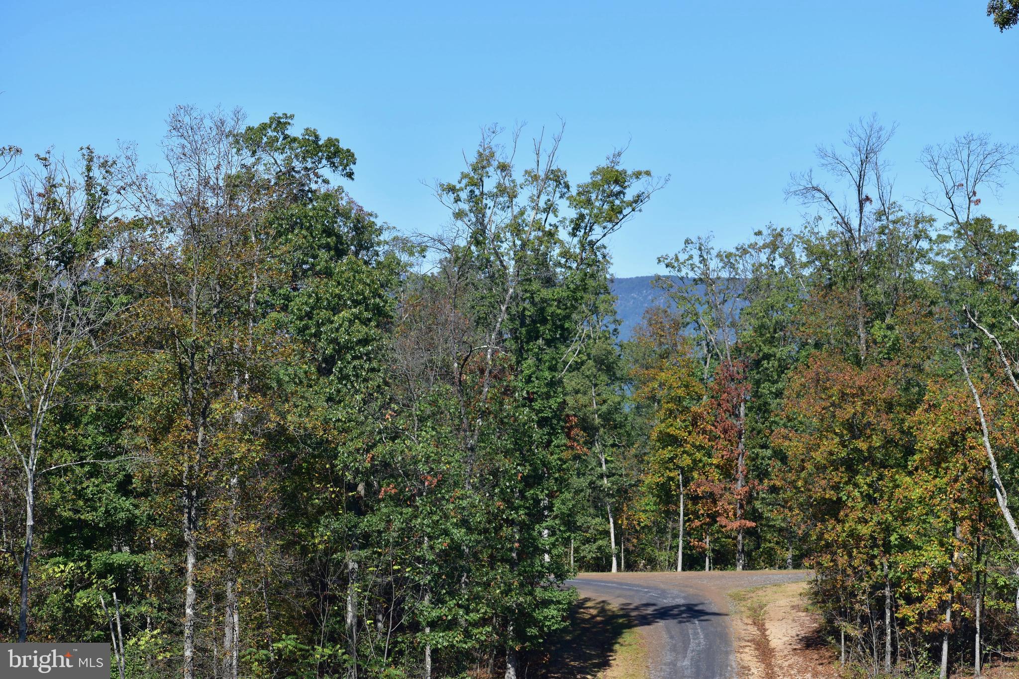 158.5 Acres Lot 3 LAUREL GROVE RD.