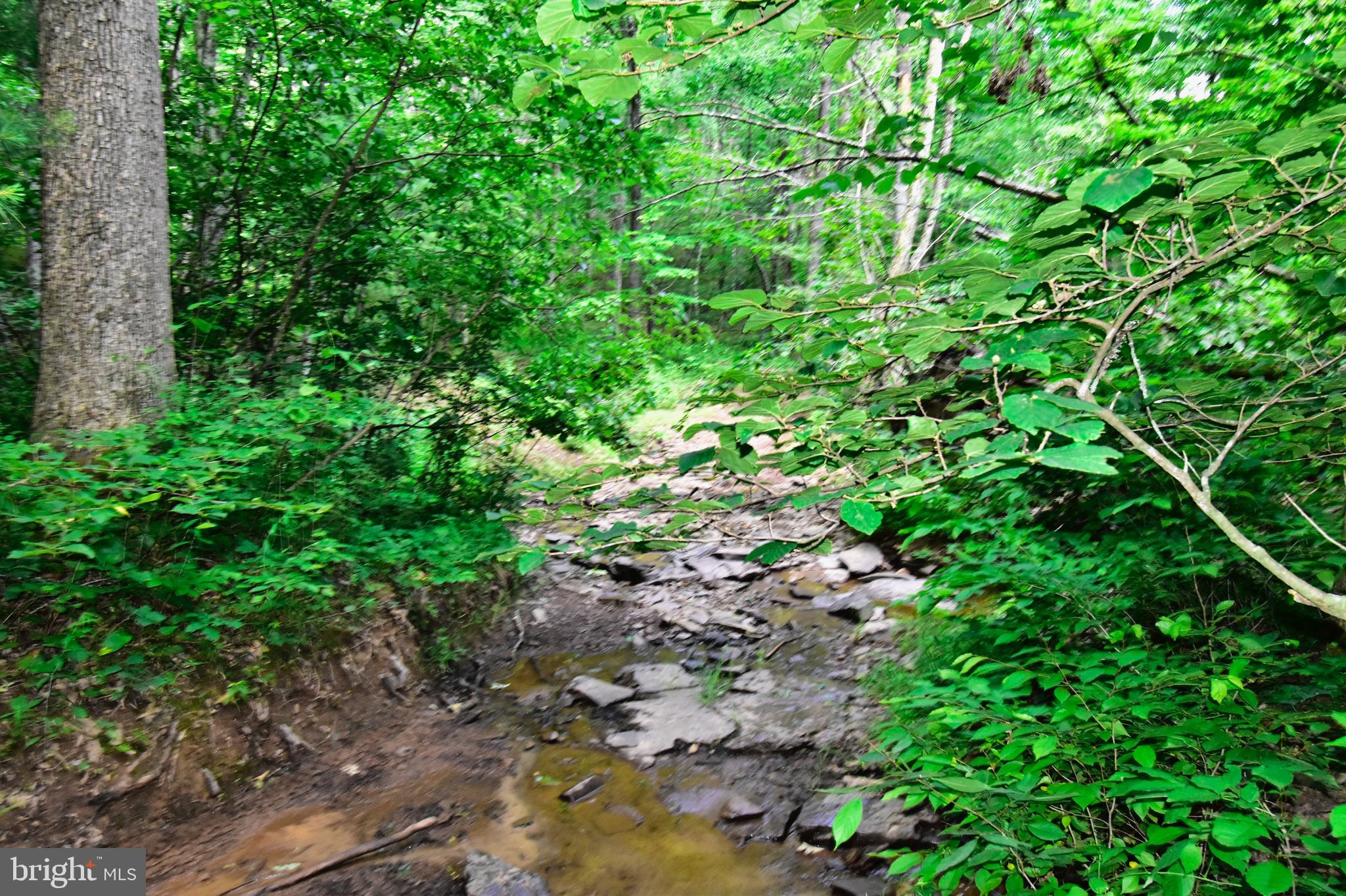 158.5 Acres Lot 3 LAUREL GROVE RD.