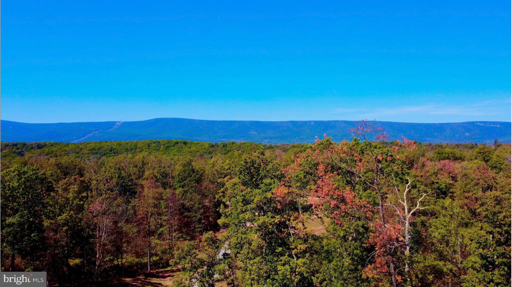 158.5 Acres Lot 3 LAUREL GROVE RD.