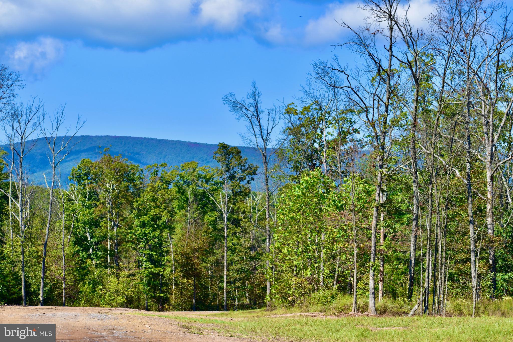 158.5 Acres Lot 3 LAUREL GROVE RD.