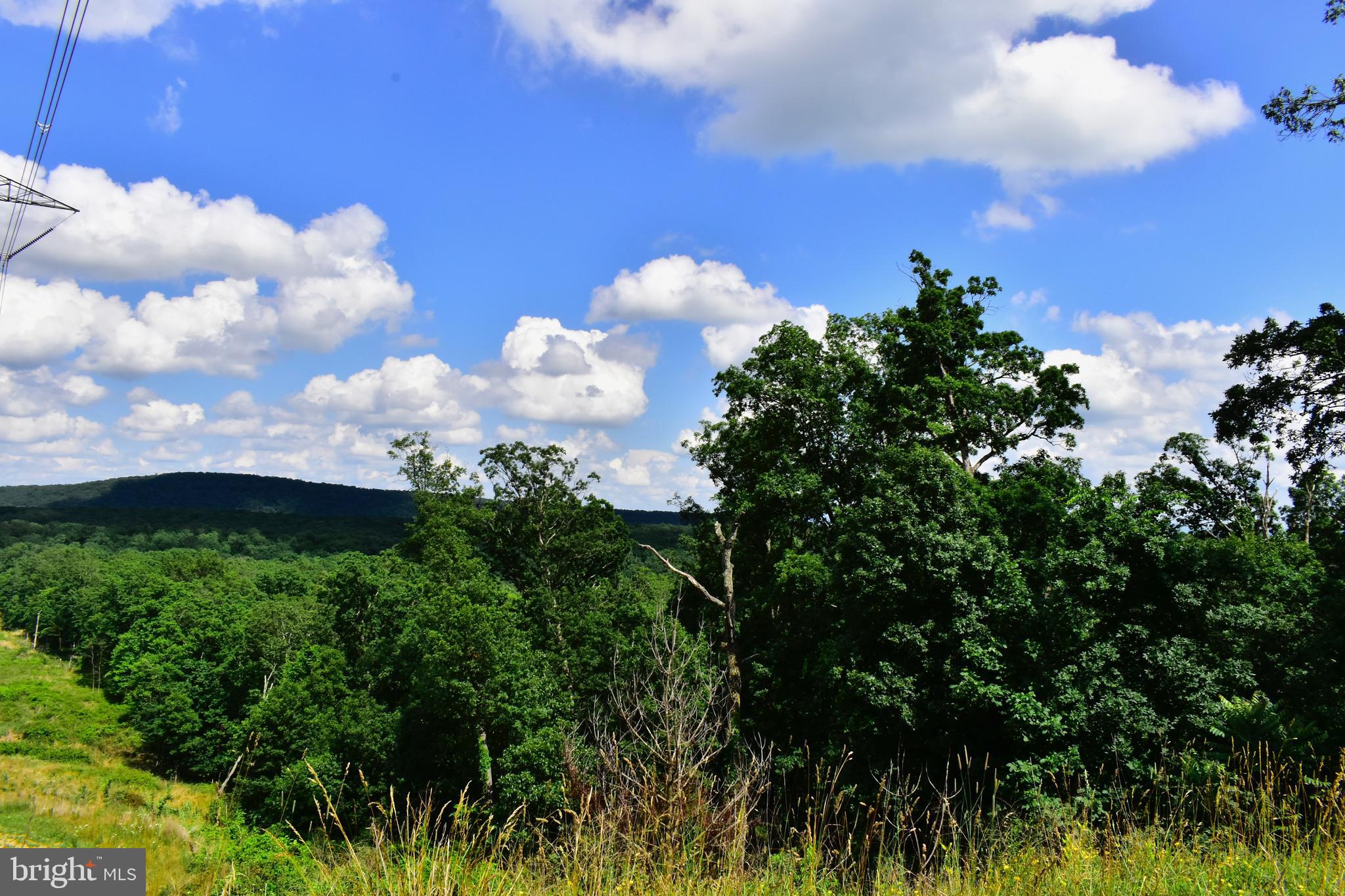 158.5 Acres Lot 3 LAUREL GROVE RD.