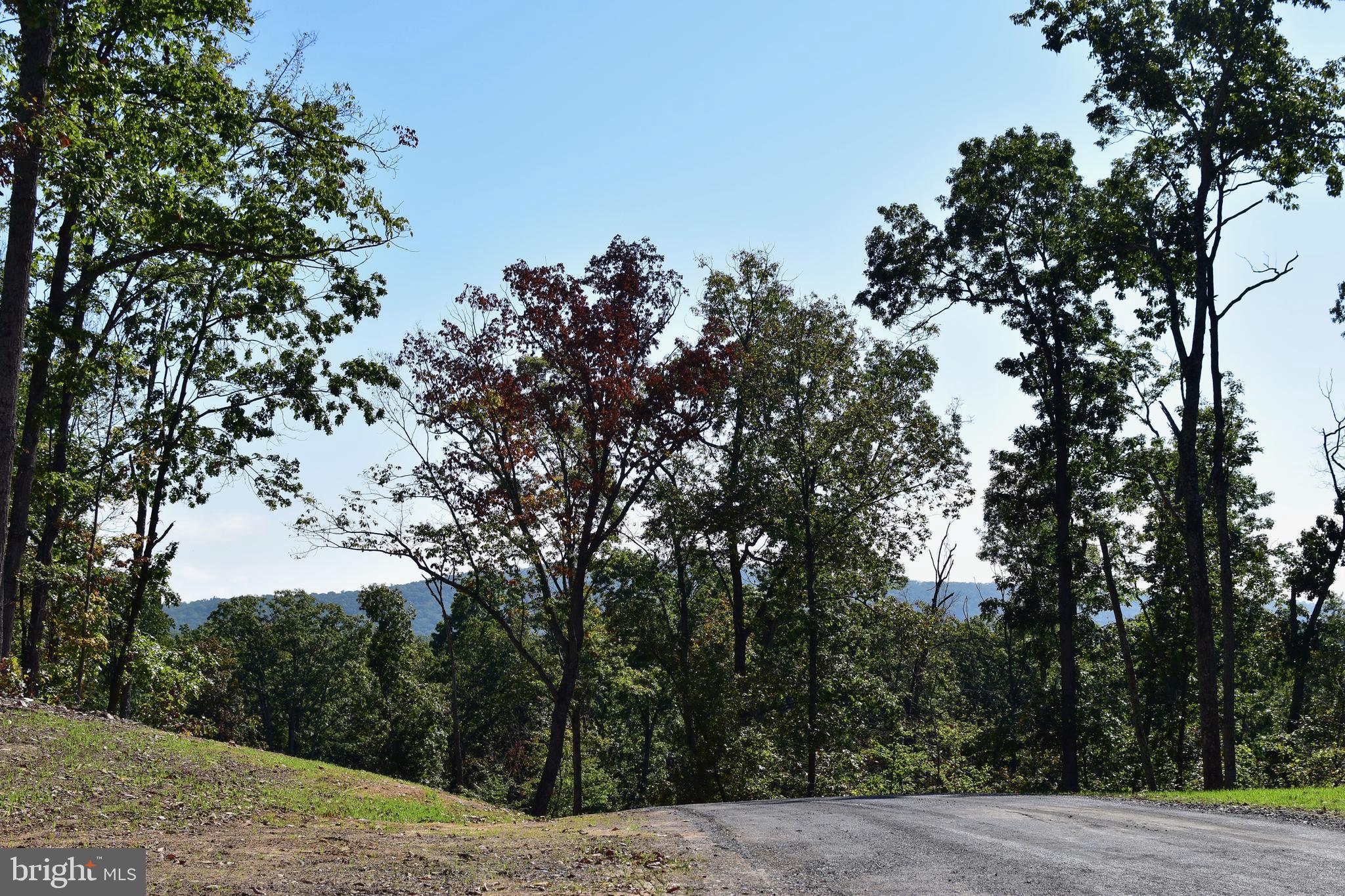 158.5 Acres Lot 3 LAUREL GROVE RD.