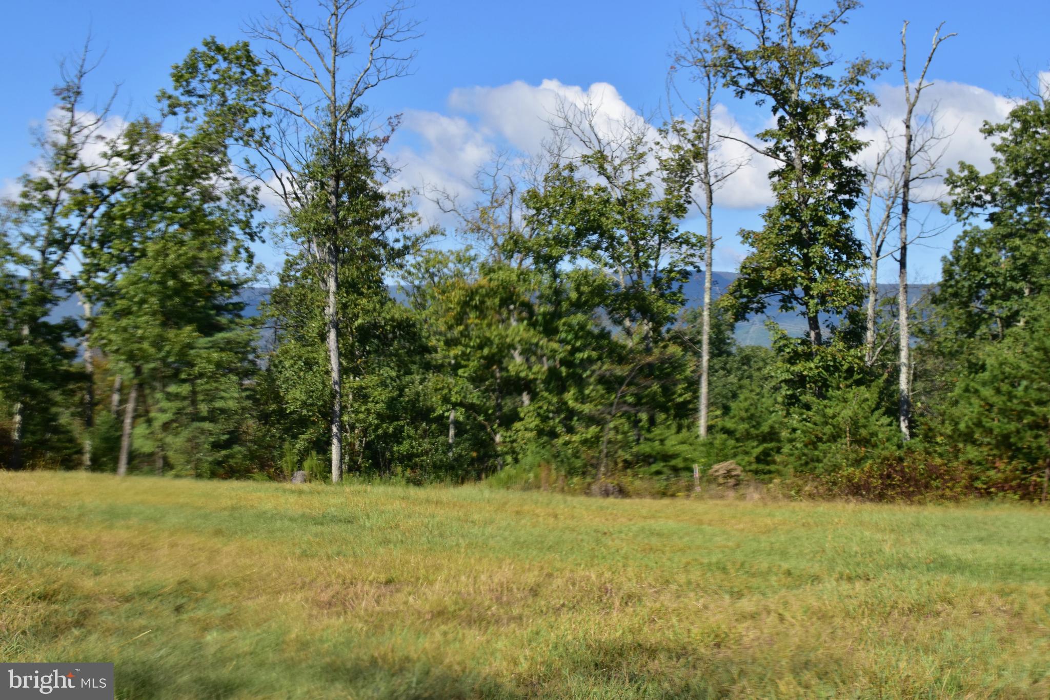 158.5 Acres Lot 3 LAUREL GROVE RD.
