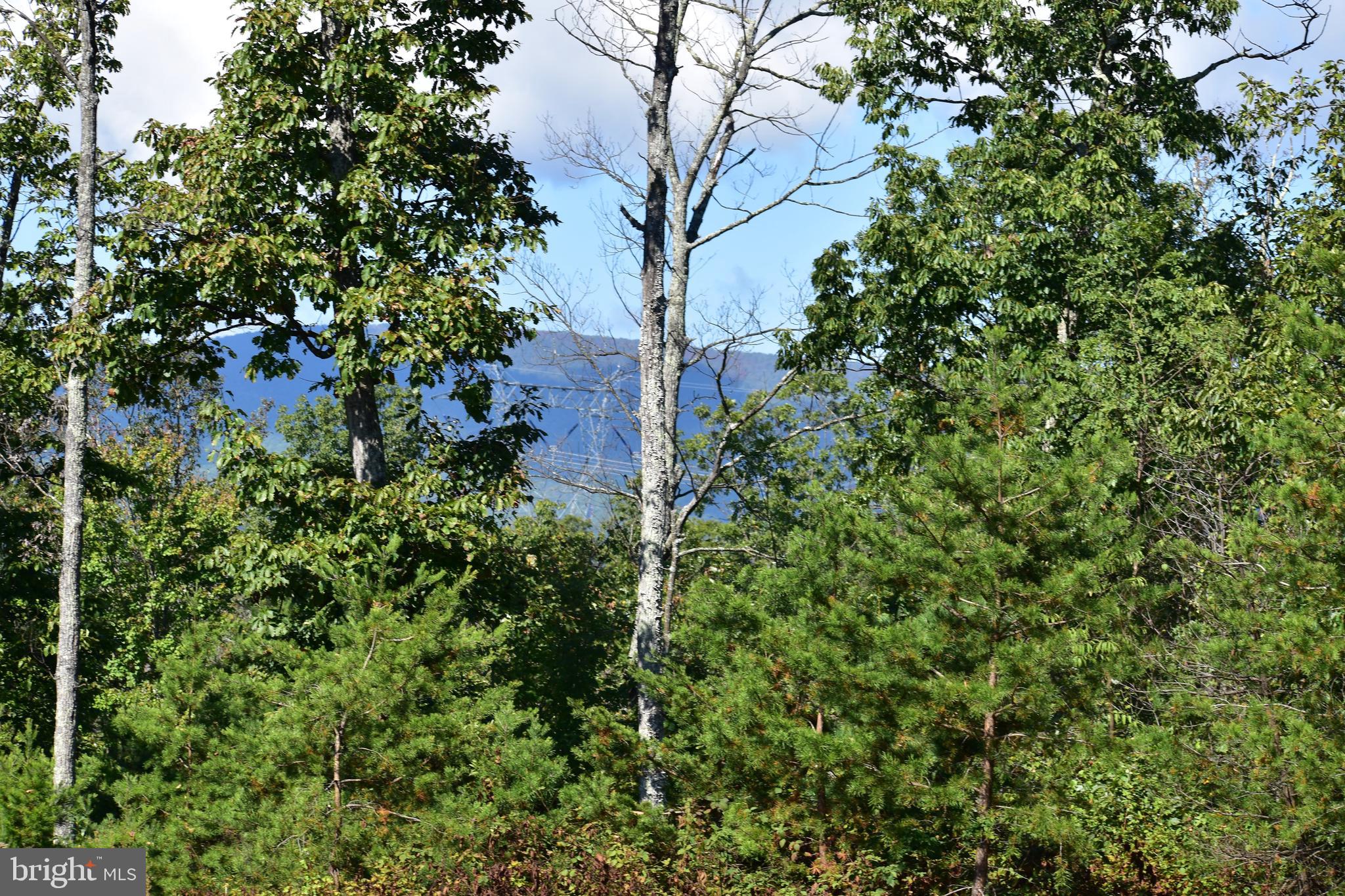 158.5 Acres Lot 3 LAUREL GROVE RD.