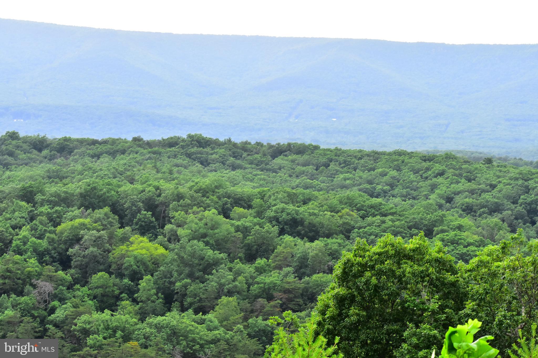 158.5 Acres Lot 3 LAUREL GROVE RD.