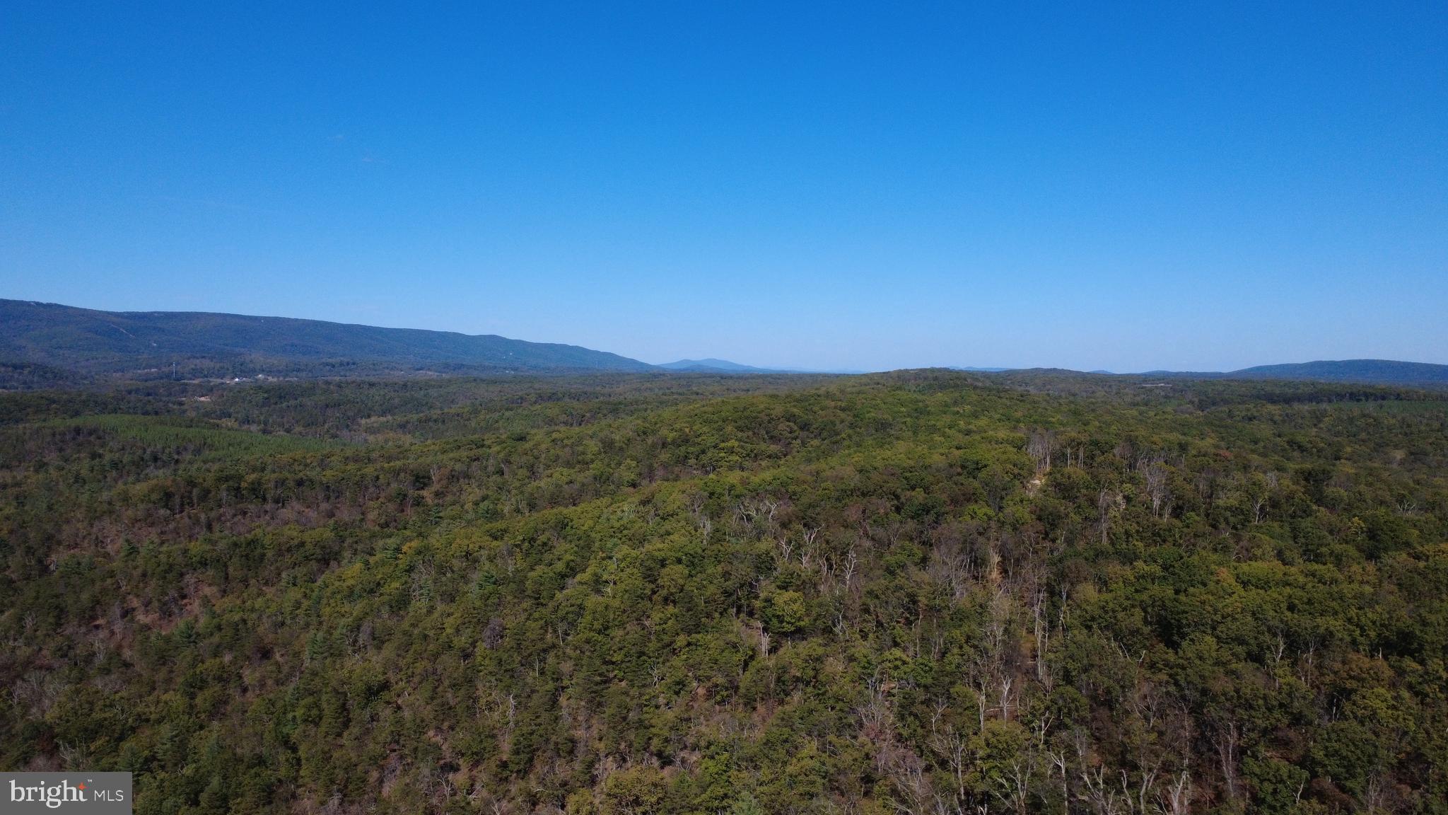 158.5 Acres Lot 3 LAUREL GROVE RD.