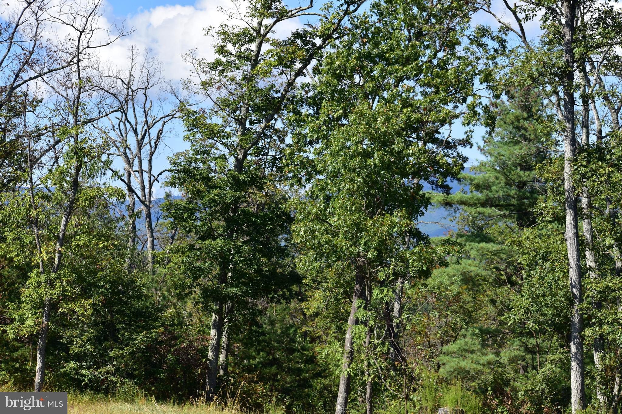 158.5 Acres Lot 3 LAUREL GROVE RD.