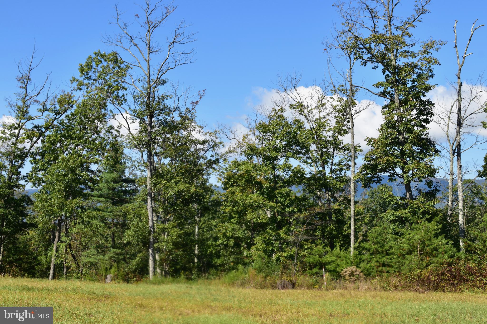 158.5 Acres Lot 3 LAUREL GROVE RD.