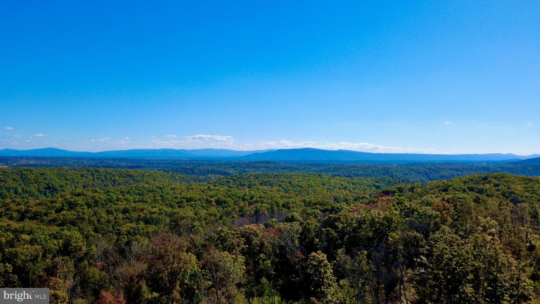 158.5 Acres Lot 3 LAUREL GROVE RD.