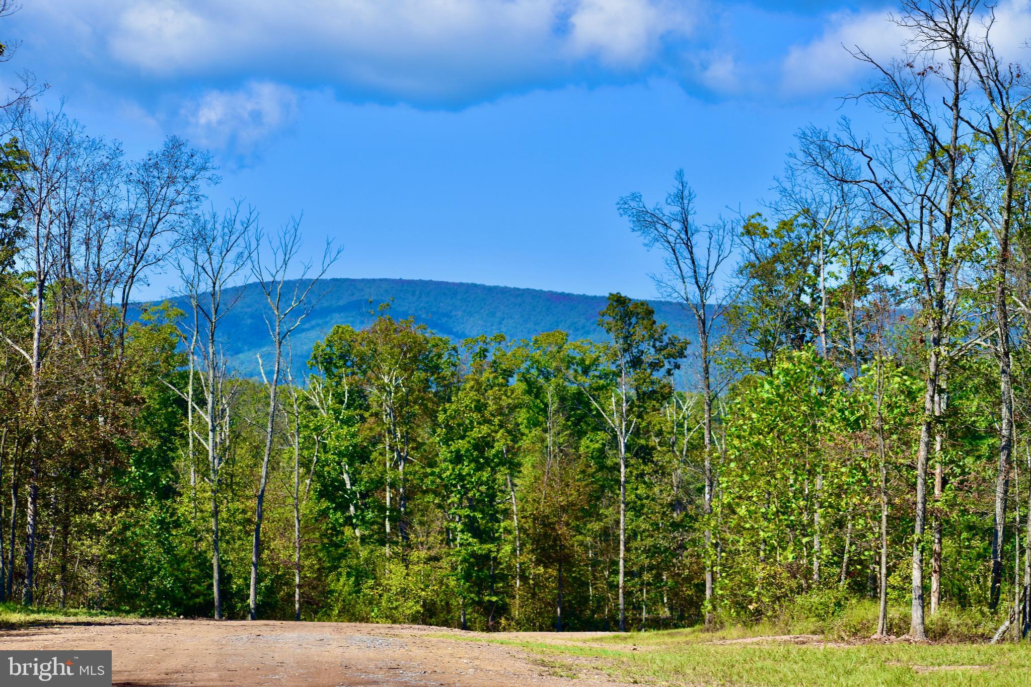 158.5 Acres Lot 3 LAUREL GROVE RD.