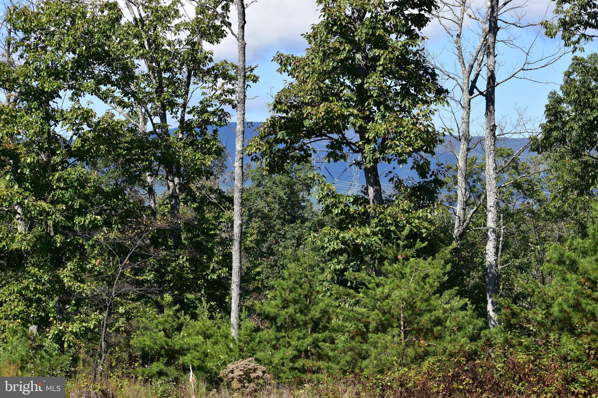 158.5 Acres Lot 3 LAUREL GROVE RD.