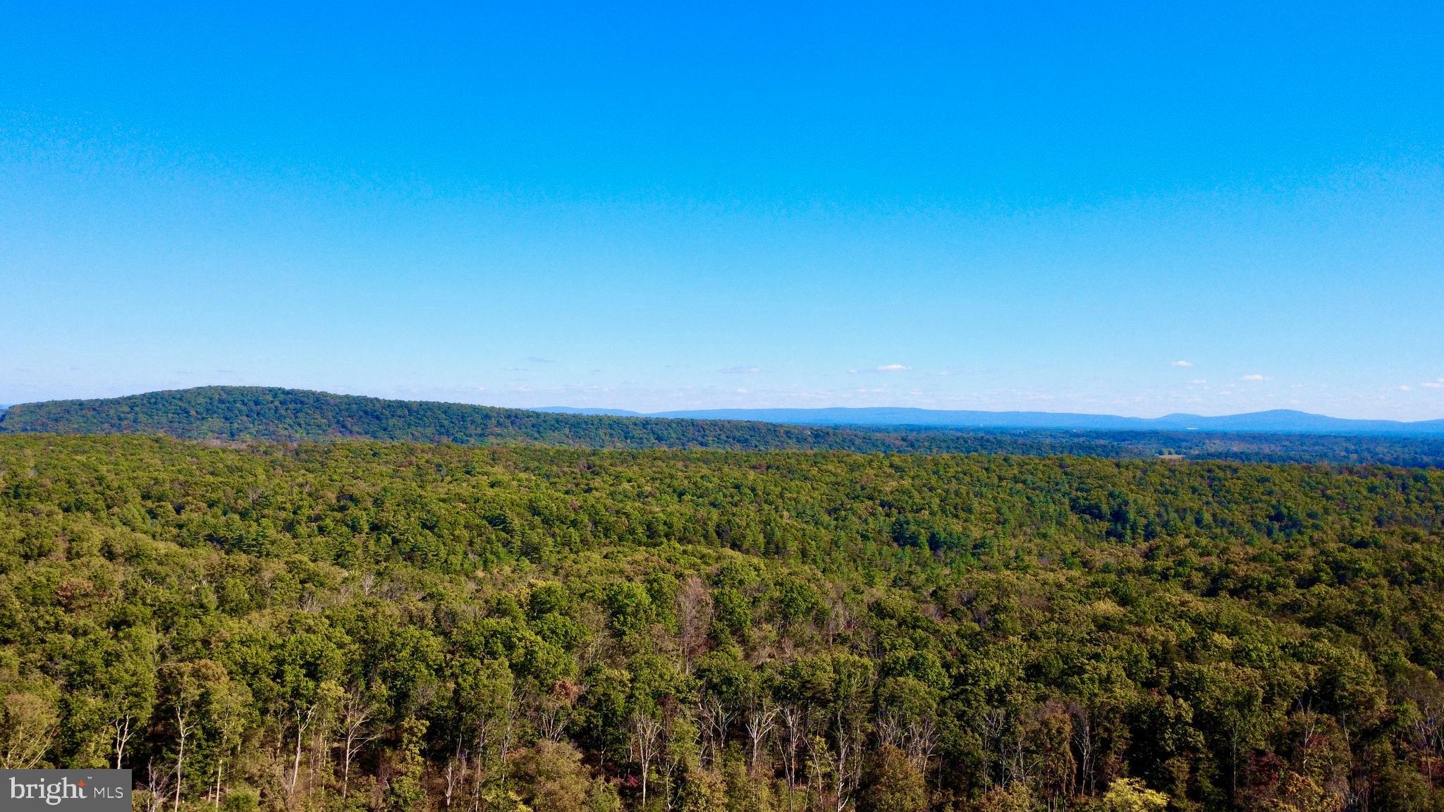 158.5 Acres Lot 3 LAUREL GROVE RD.