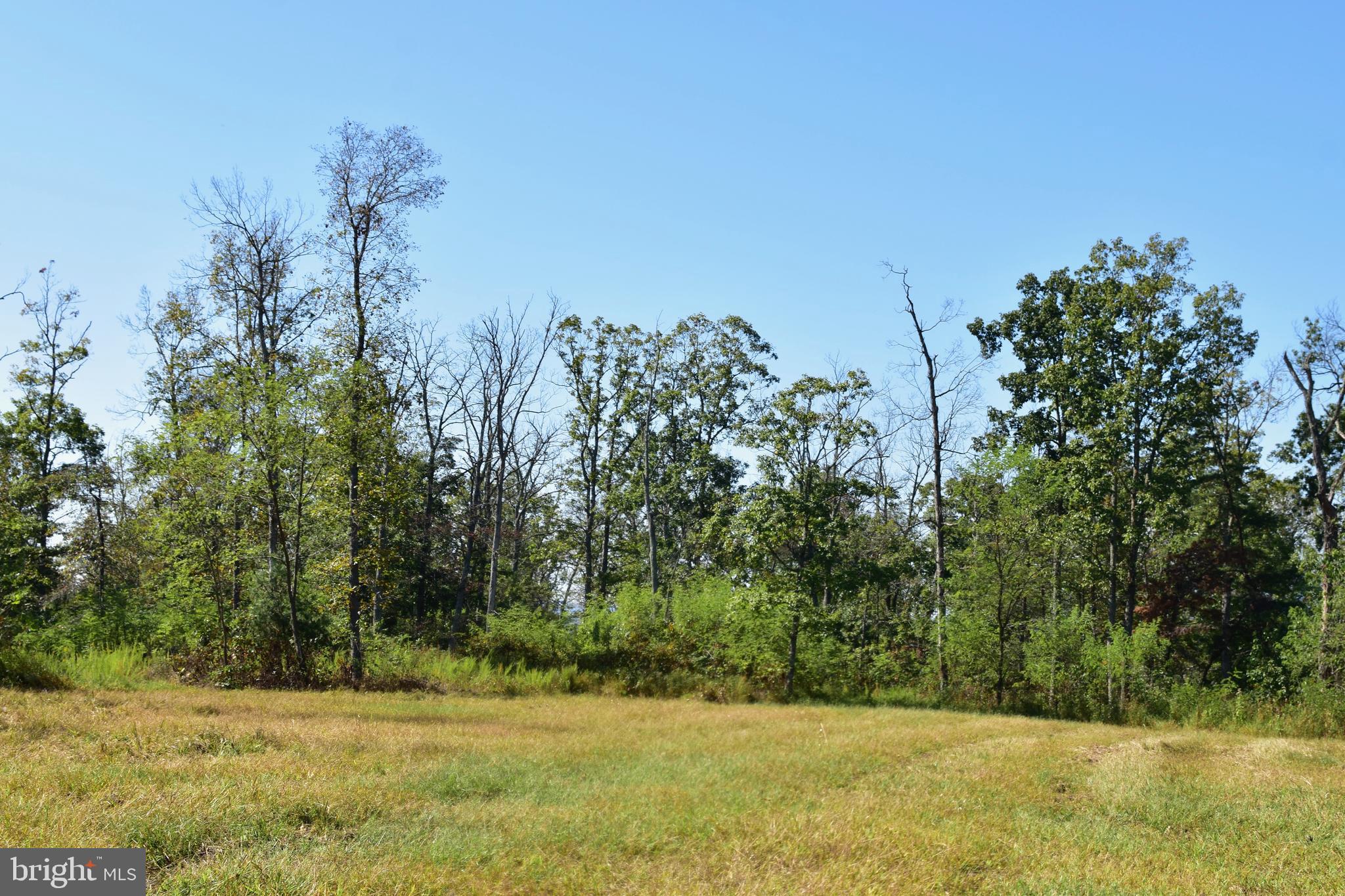 158.5 Acres Lot 3 LAUREL GROVE RD.