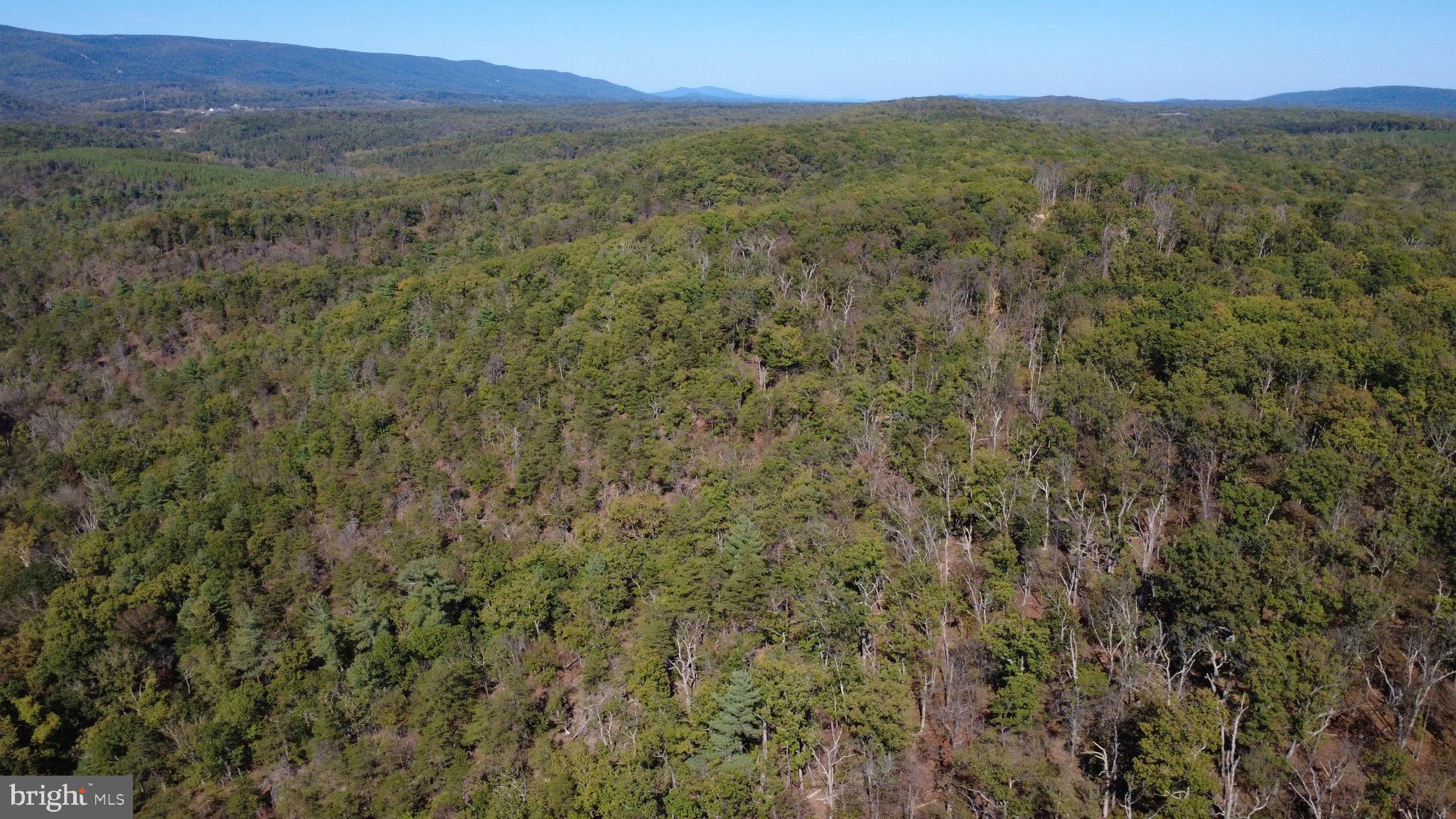 158.5 Acres Lot 3 LAUREL GROVE RD.