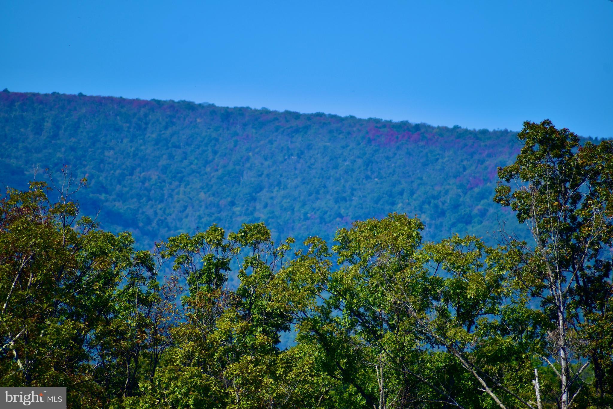 158.5 Acres Lot 3 LAUREL GROVE RD.