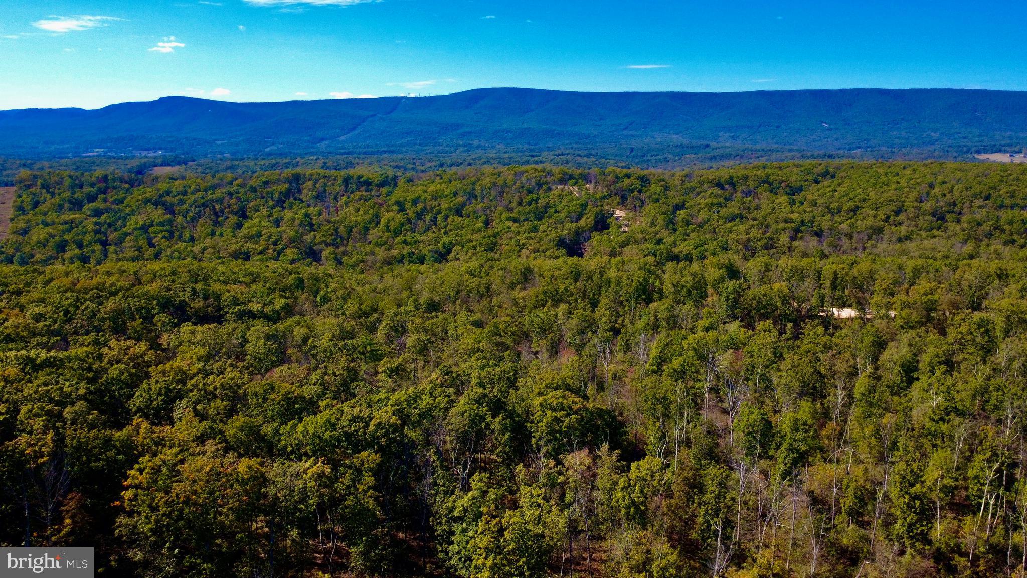 158.5 Acres Lot 3 LAUREL GROVE RD.