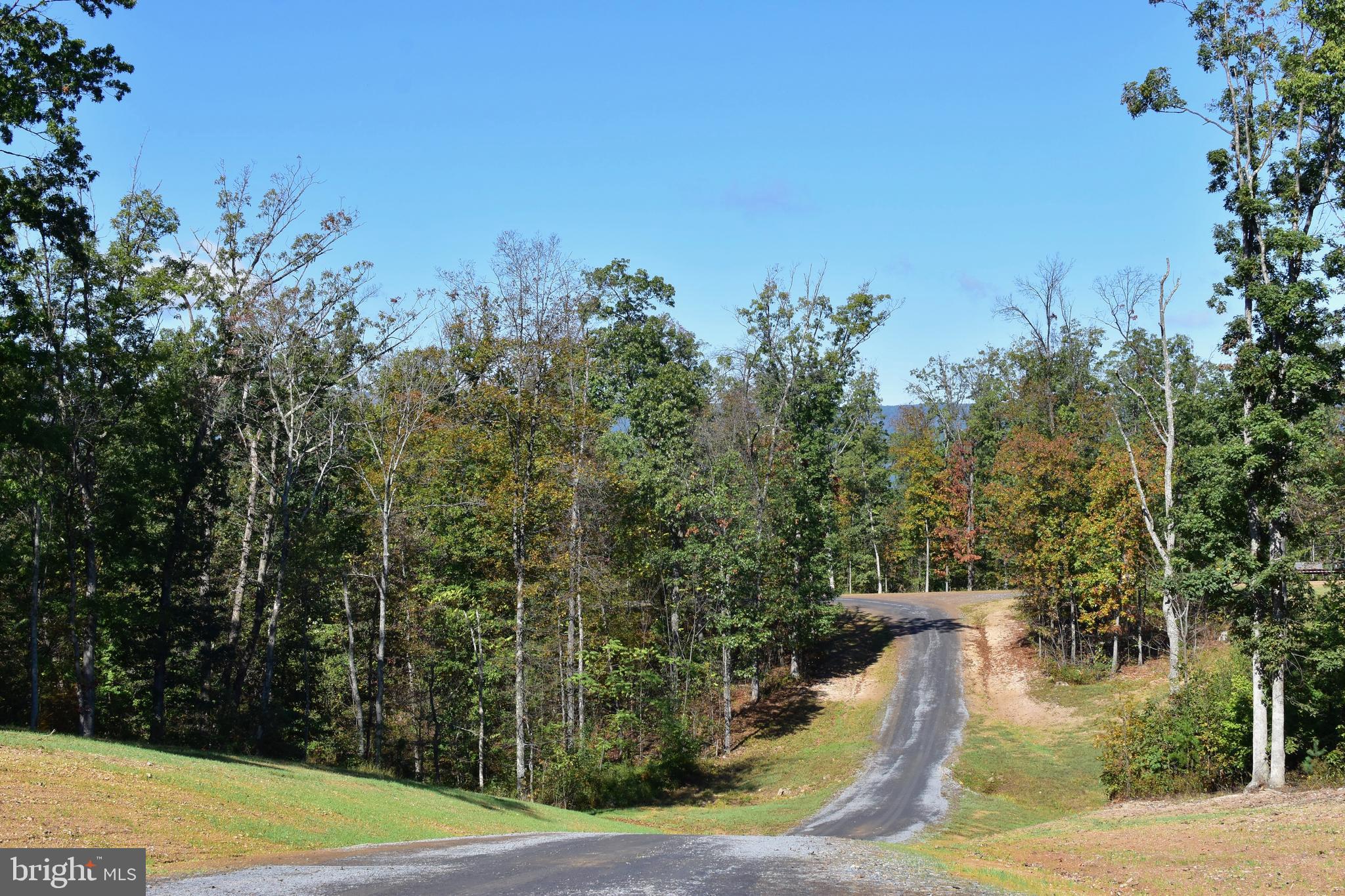 158.5 Acres Lot 3 LAUREL GROVE RD.