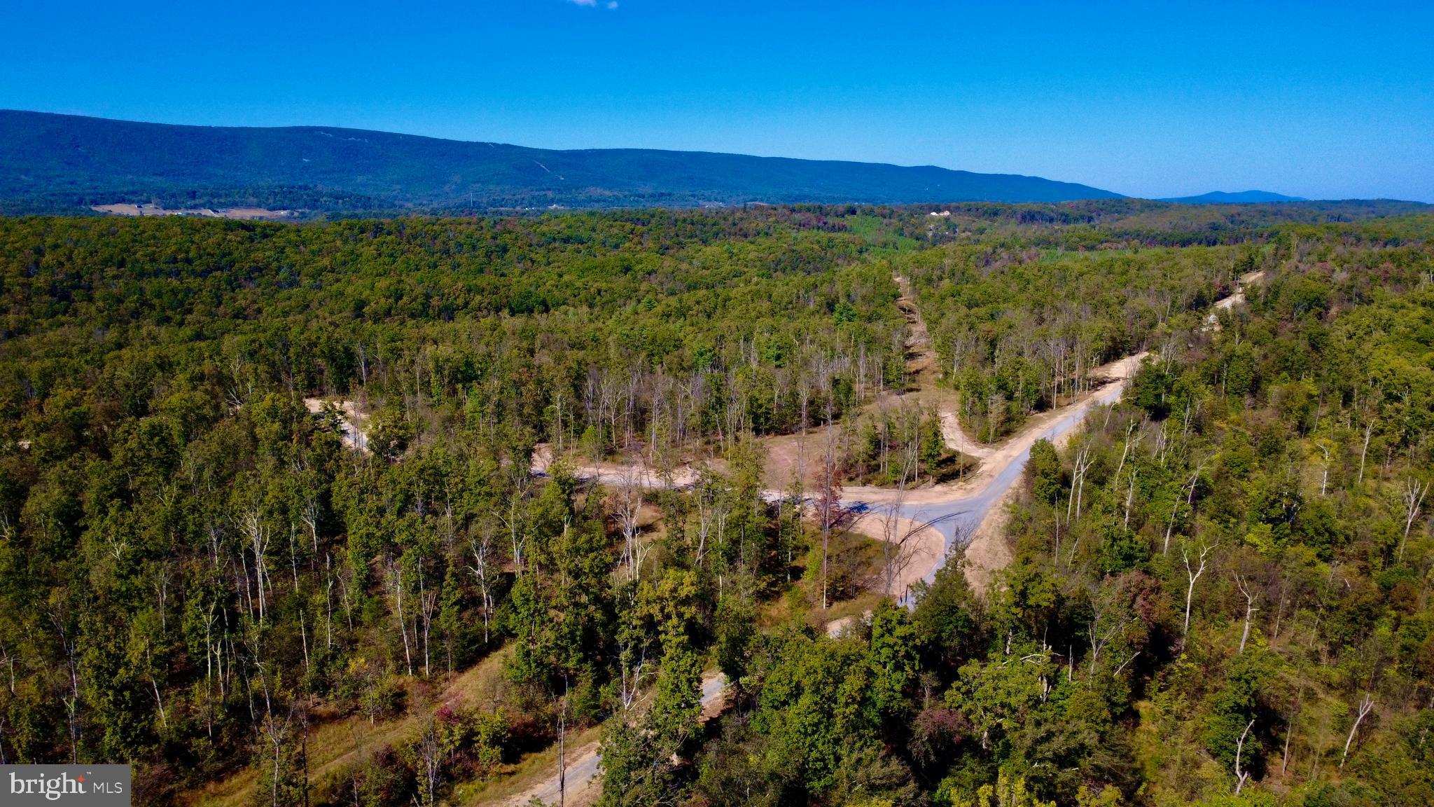 158.5 Acres Lot 3 LAUREL GROVE RD.