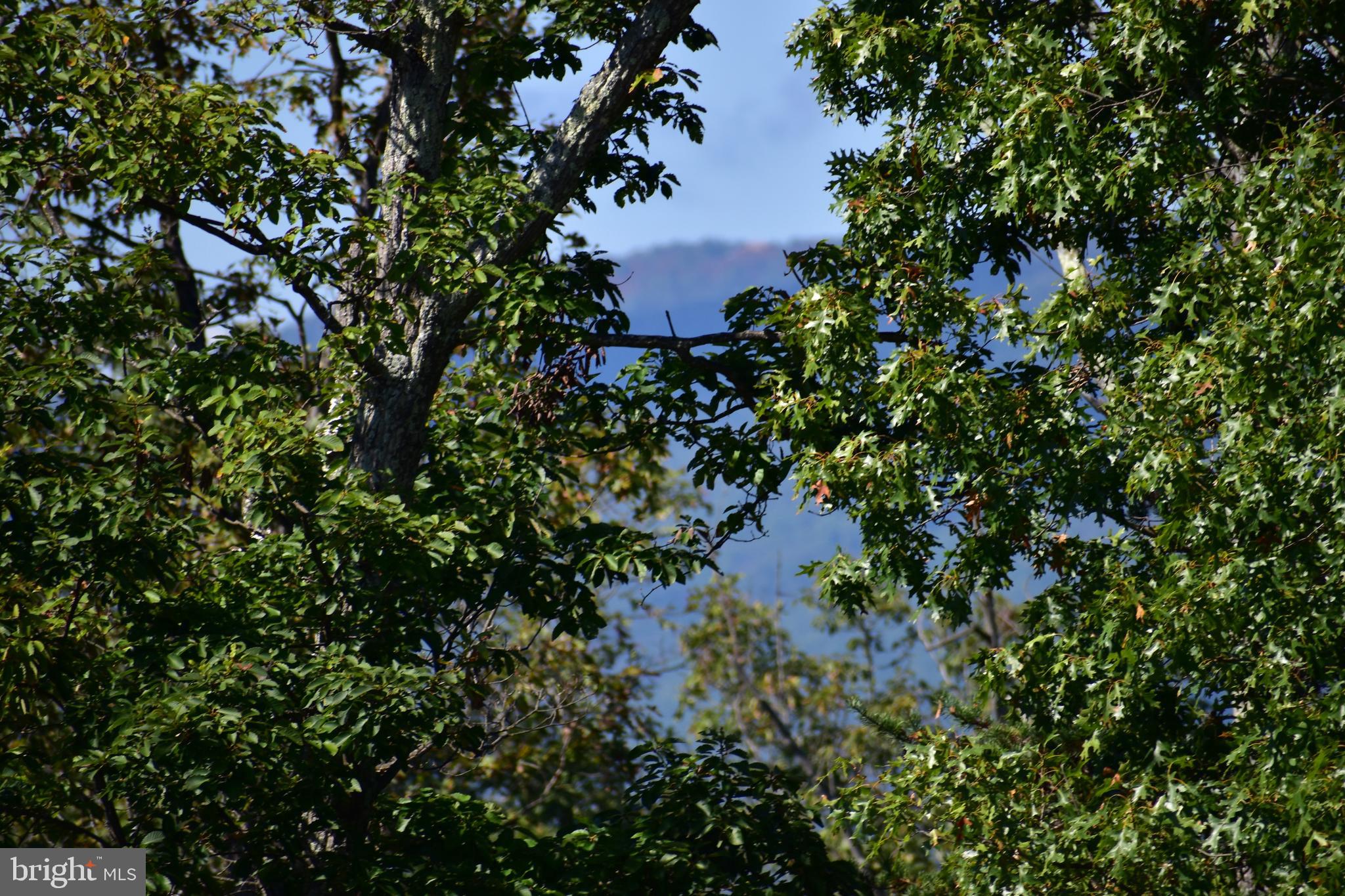 158.5 Acres Lot 3 LAUREL GROVE RD.