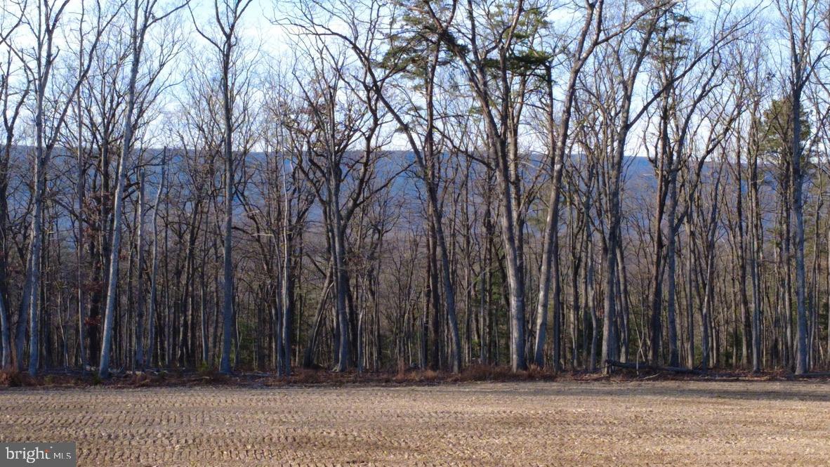 152.44 Acres Lot 2 LAUREL GROVE ROAD