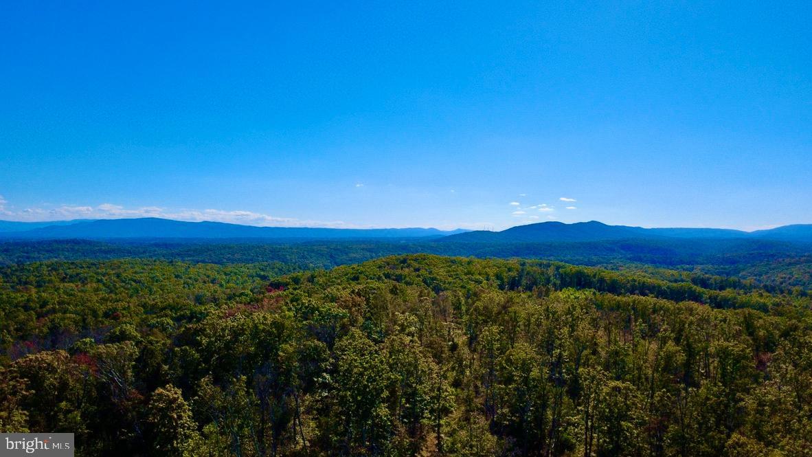 152.44 Acres Lot 2 LAUREL GROVE ROAD