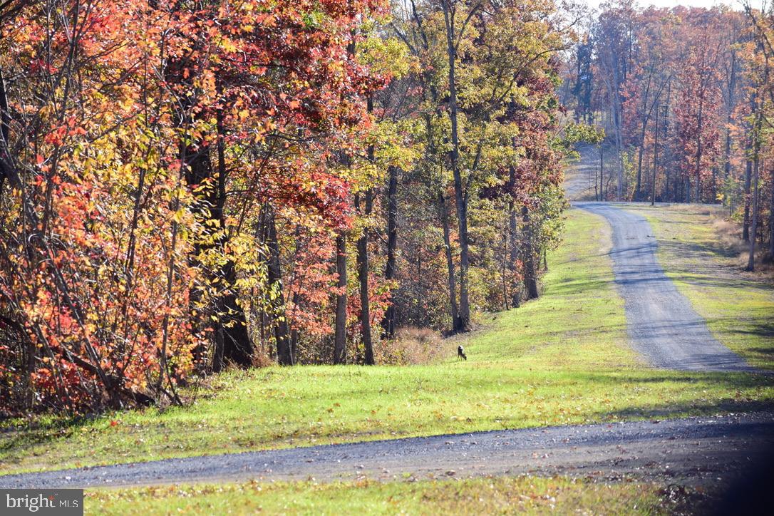 152.44 Acres Lot 2 LAUREL GROVE ROAD