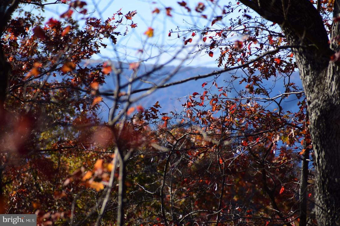 152.44 Acres Lot 2 LAUREL GROVE ROAD