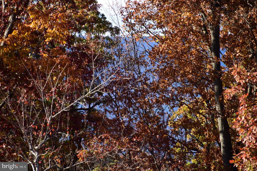 152.44 Acres Lot 2 LAUREL GROVE ROAD