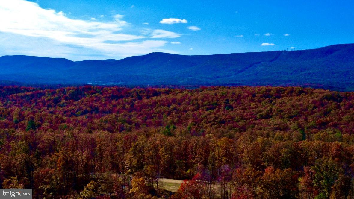 152.44 Acres Lot 2 LAUREL GROVE ROAD