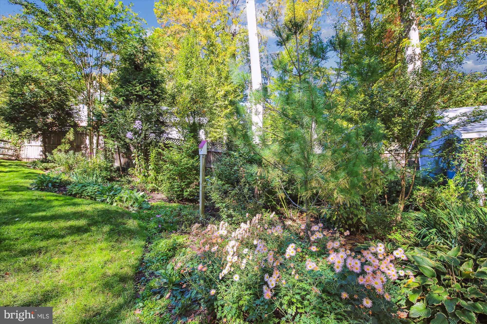 8209 CAPTAIN HAWKINS COURT