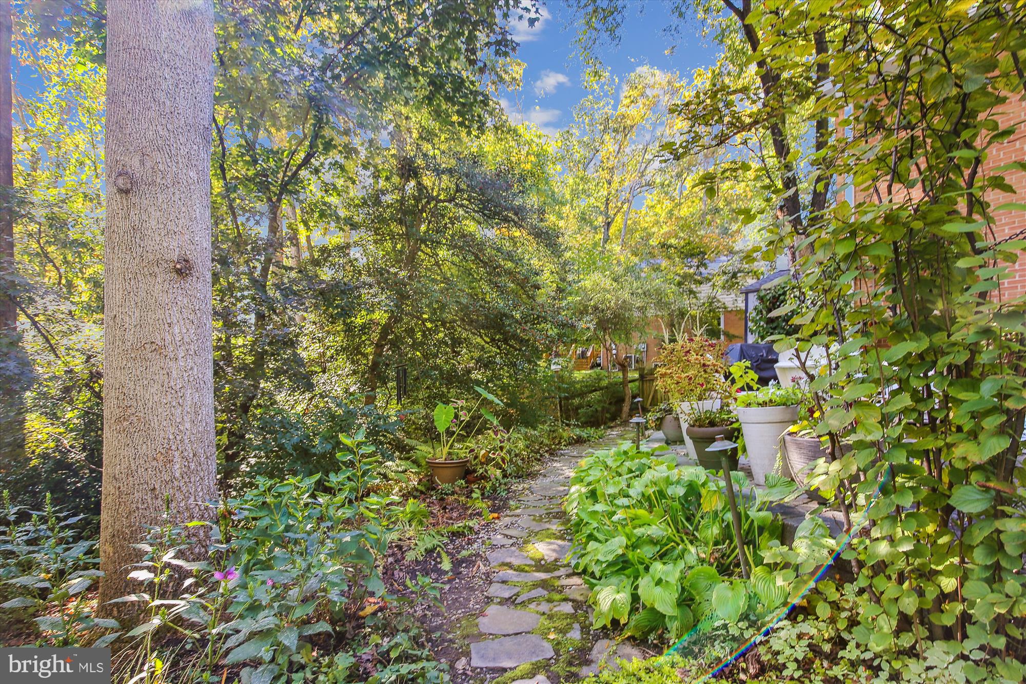 8209 CAPTAIN HAWKINS COURT