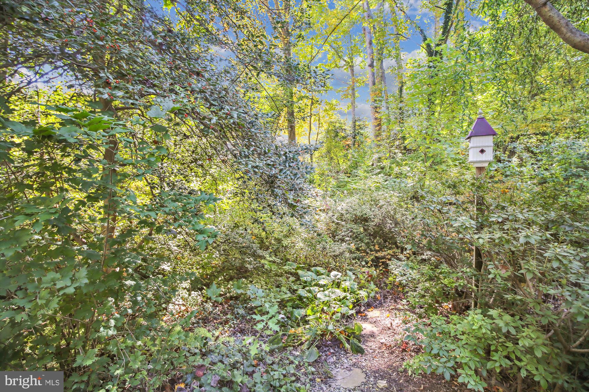 8209 CAPTAIN HAWKINS COURT