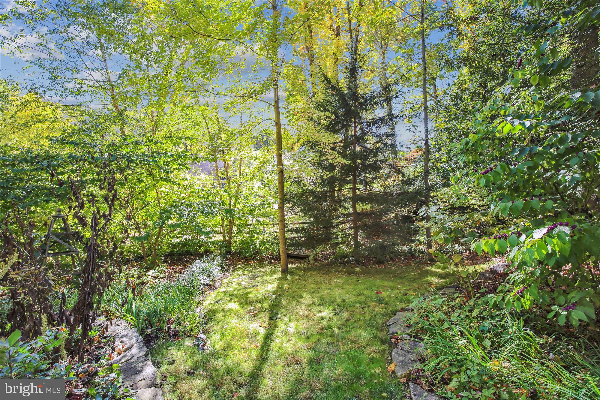 8209 CAPTAIN HAWKINS COURT