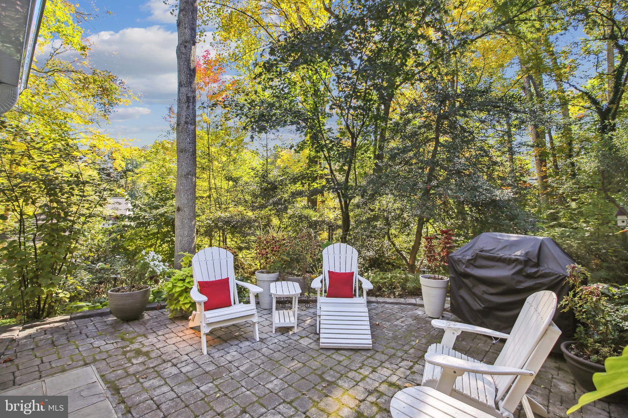 8209 CAPTAIN HAWKINS COURT