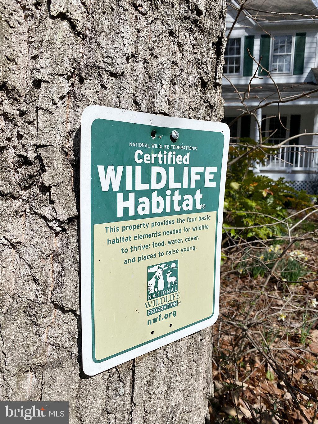 11263 CENTER HARBOR ROAD