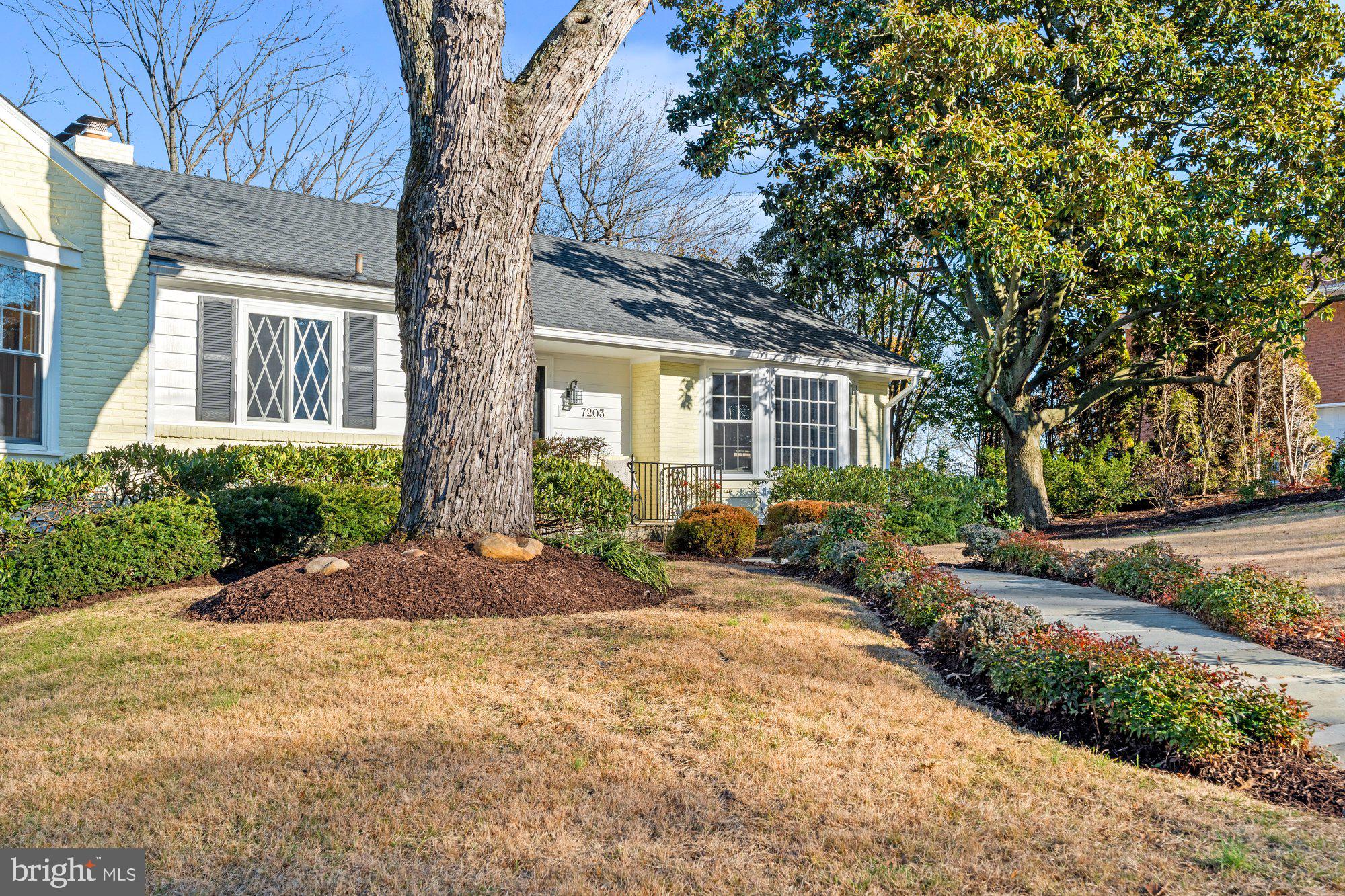 7203 PARK TERRACE DRIVE