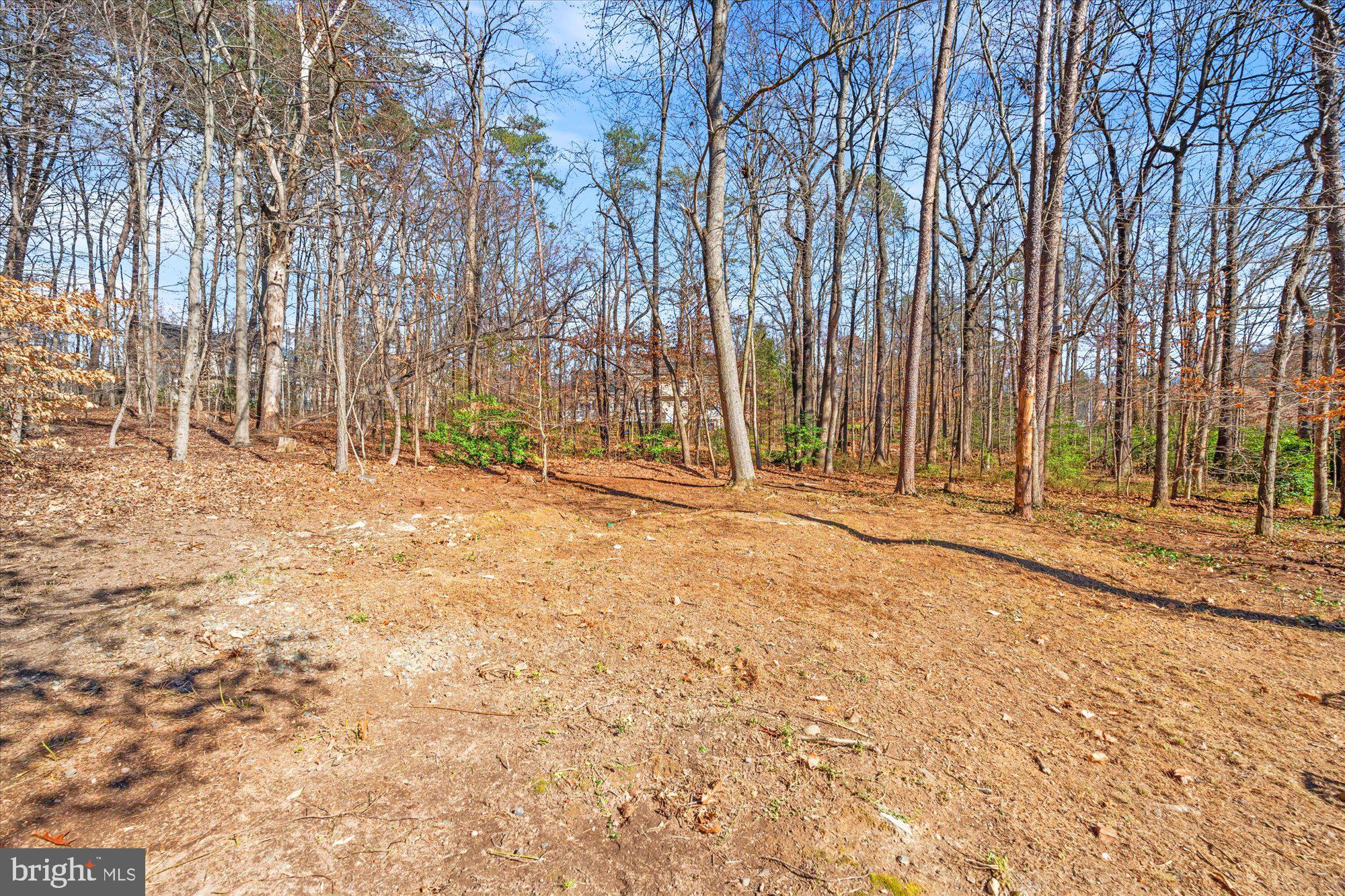 10408 HERITAGE LANDING ROAD