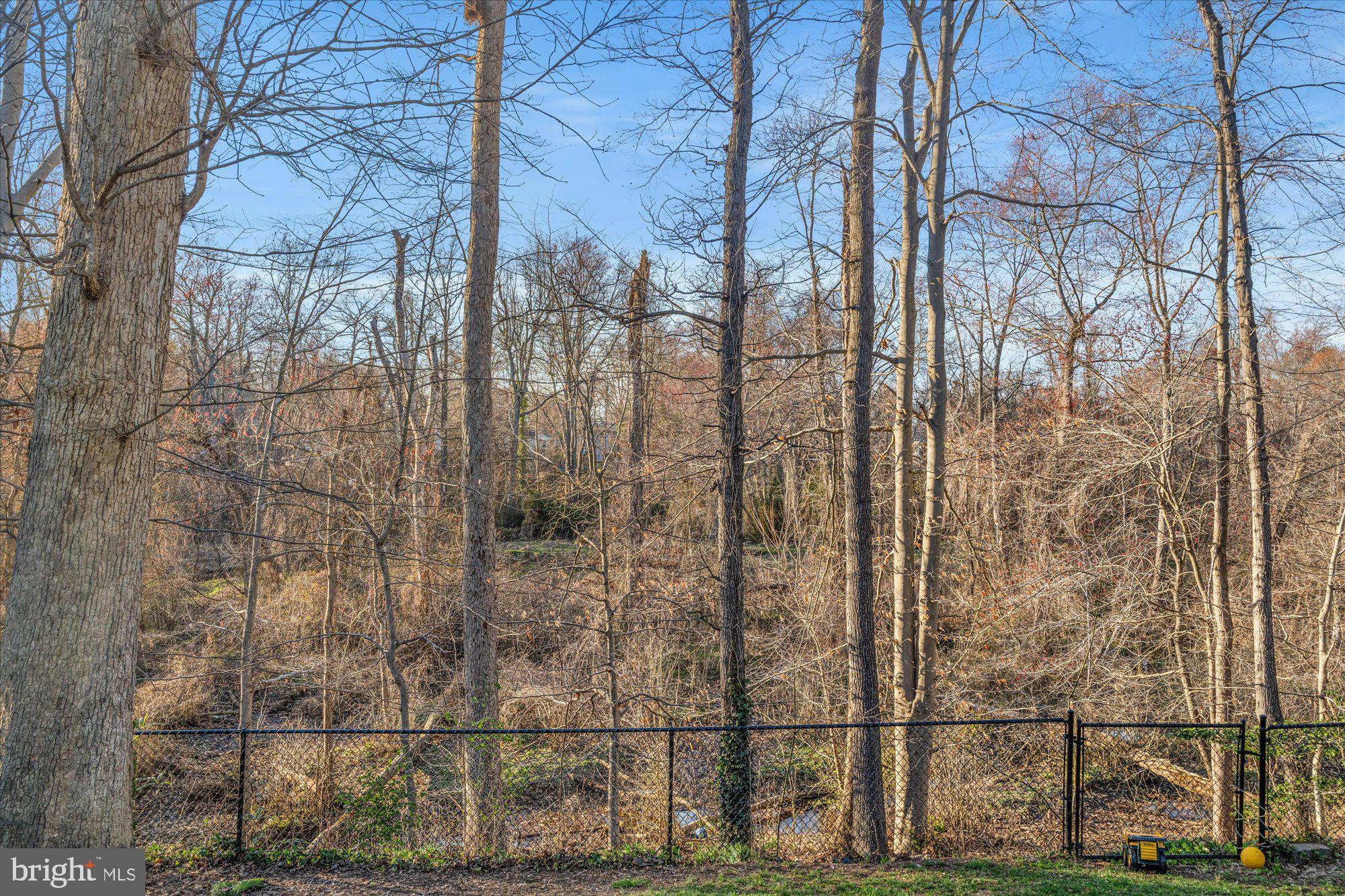 2312 WILLIAM AND MARY DRIVE