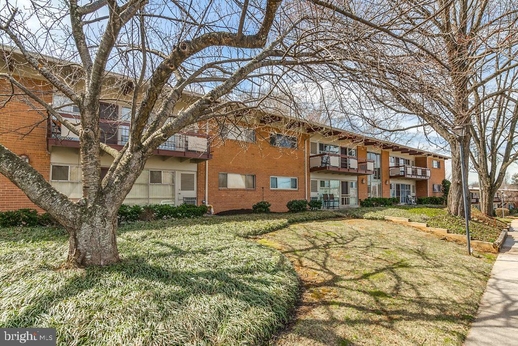 4257 AMERICANA DRIVE 201