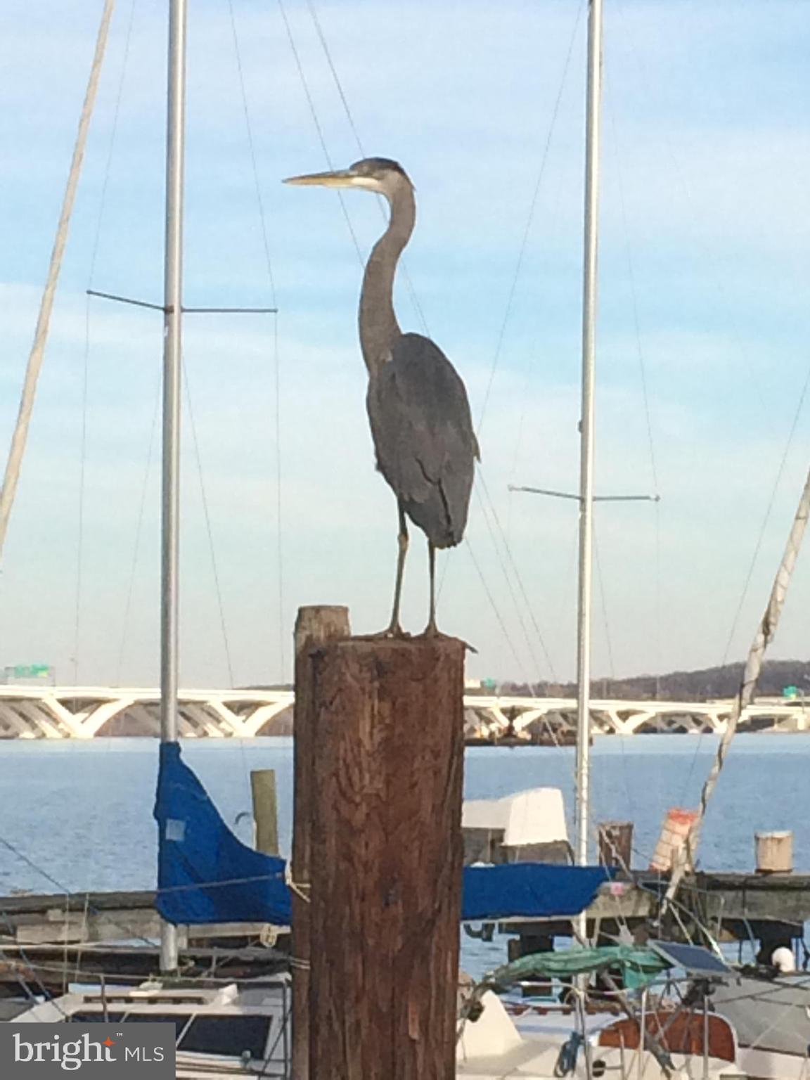 6618 POTOMAC AVENUE B2