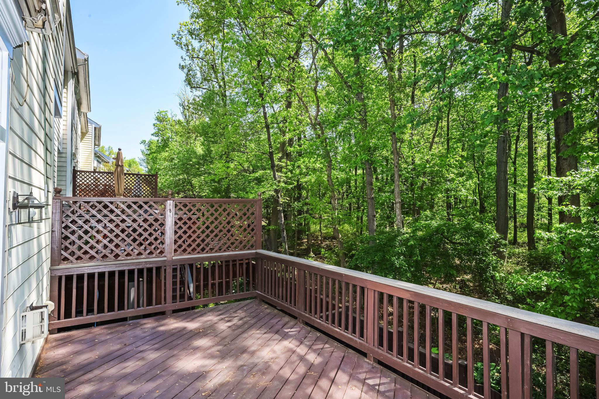 2335 SAWTOOTH OAK COURT