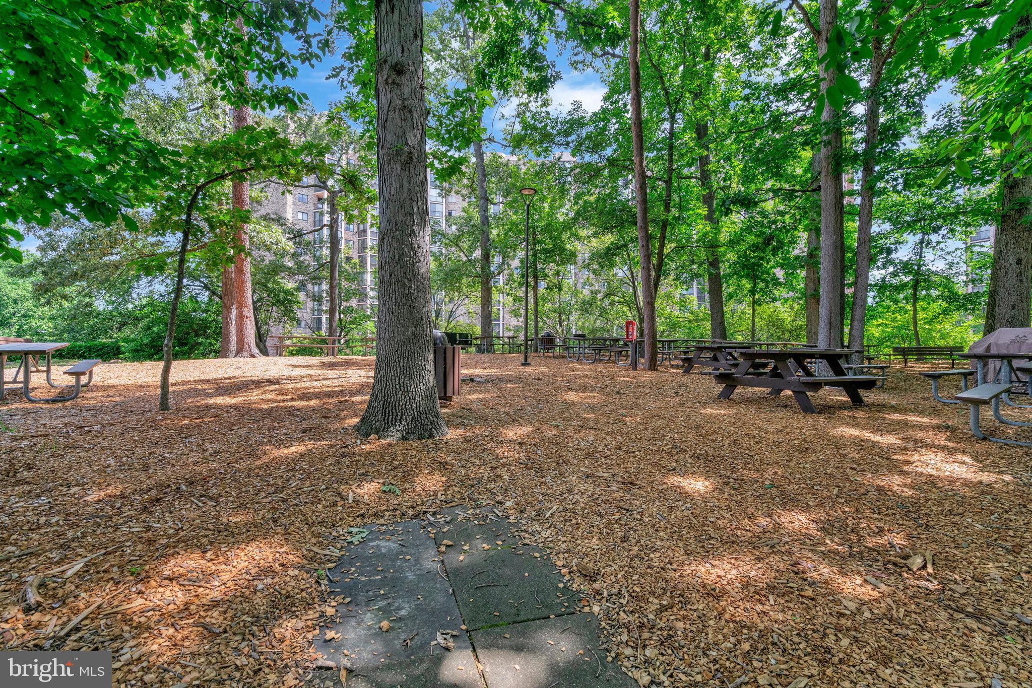 5904 MOUNT EAGLE DRIVE 202