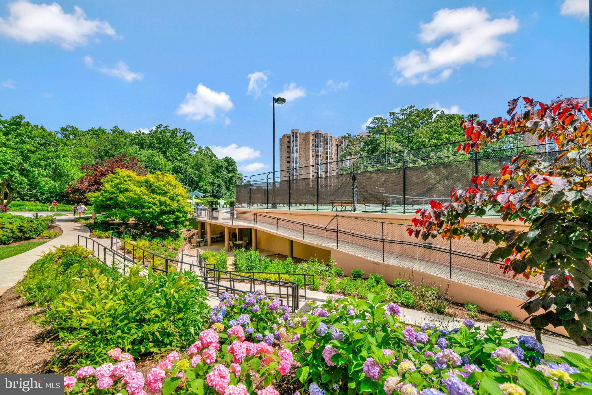 5904 MOUNT EAGLE DRIVE 202