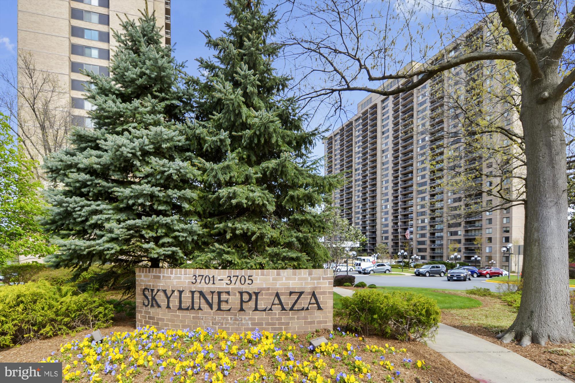 3705 S GEORGE MASON DR. S 109