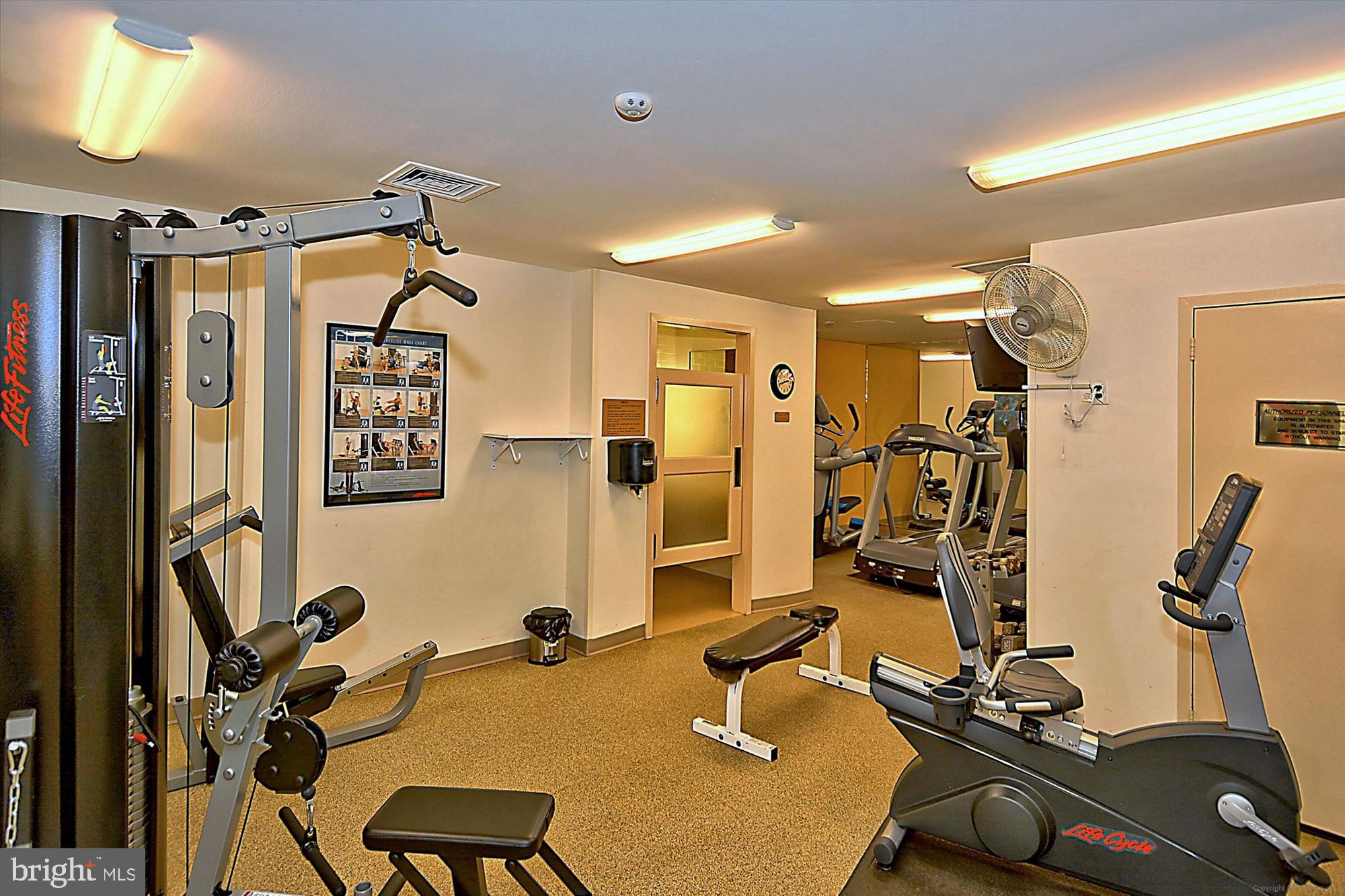 3705 S GEORGE MASON DR. S 109