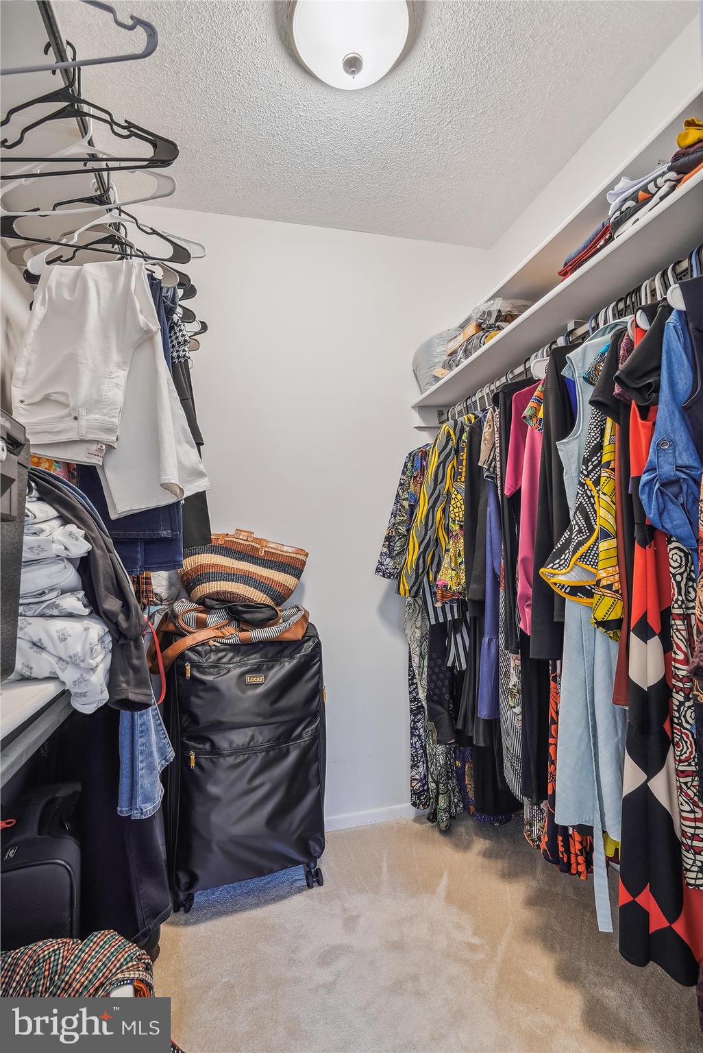 3705 S GEORGE MASON DR. S 109