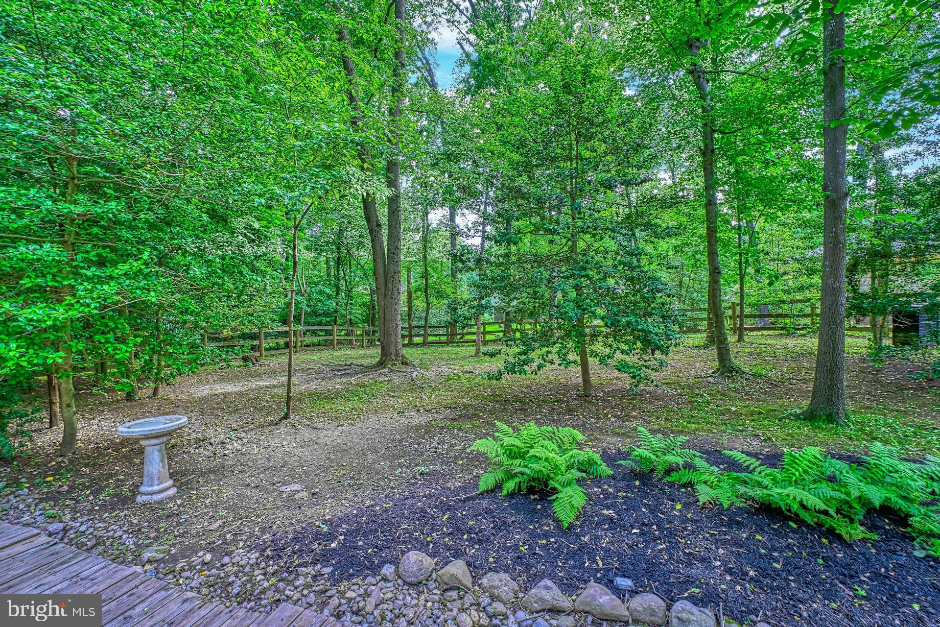 11247 HANDLEBAR ROAD