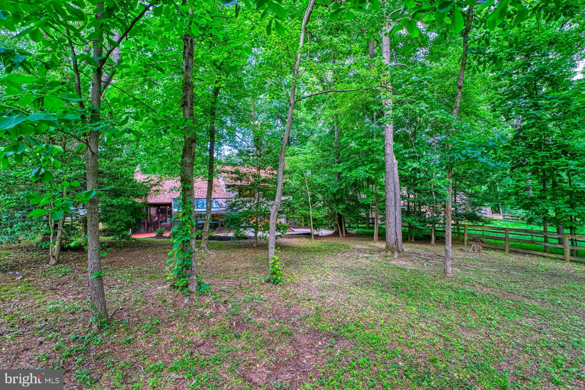 11247 HANDLEBAR ROAD