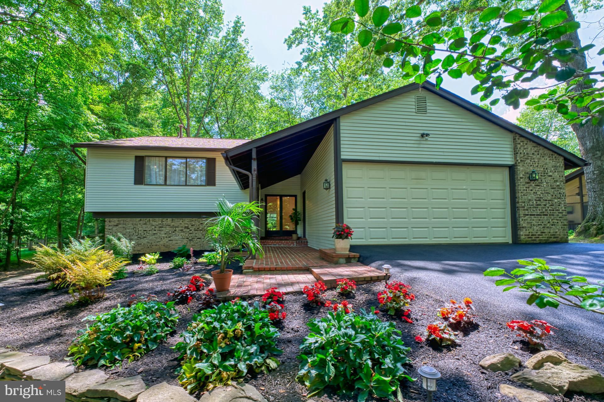 11247 HANDLEBAR ROAD